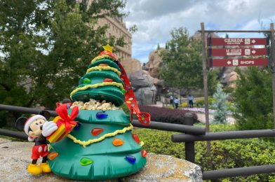 Comparing Souvenir Christmas Tree Buckets at Walt Disney World