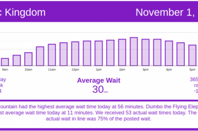 A Busy, But Not Overwhelming Day at Walt Disney World –  Wait Times for Sunday, November 1, 2020