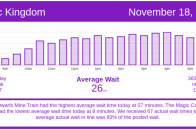 Tender and Mild Crowds – Walt Disney World Wait Times for Wednesday, November 18, 2020