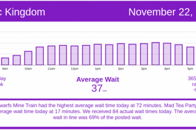 Busiest Day of the Past Month! Disney World Wait Times for Sunday, November 22, 2020