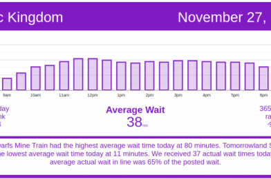 Not So Black Friday – Disney World Wait Times for Friday, November 27, 2020