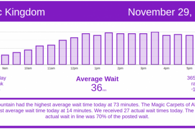 Moderate Crowds Close Holiday Weekend – Disney World Wait Times for Sunday, November 29, 2020