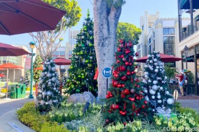 Photos! Holiday Decor Is Up at Disney’s Old Key West Resort!