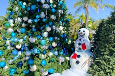 What’s New at Downtown Disney: A Crazy Mickey Shake, Iconic Mickey Ears, Holiday Decorations, and More!