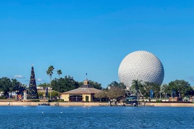 What’s New at EPCOT: Festival of the Holidays Booths, Disney Hand Sanitizers, and an Up Hoodie!