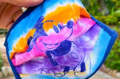 Stay Squeaky Clean With These Adorable Hand Sanitizers at Disney World!