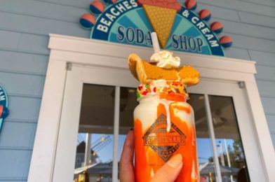 Review! This Cheesecake in Disney World Was MADE for Pumpkin Super-Fans!