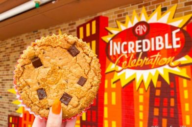 Num Num Cookies Are Finally BACK at Disney’s Hollywood Studios!