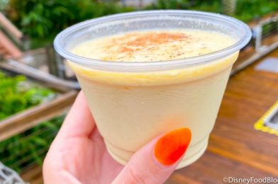 REVIEW! We Can’t Get Enough of This Spiked Eggnog in Disney World!