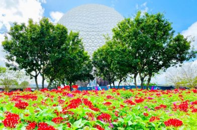 The Longest Line in EPCOT Today Is NOT for a Ride!