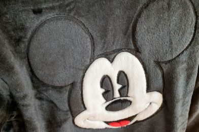 Feel Like You’re Wearing Your PJs All Day With These New FUZZY Sweatshirts in Disney World