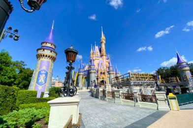 PICS! A STAGE Is Being Built In Front of Cinderella Castle in Magic Kingdom