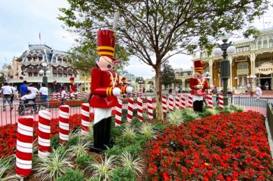 What’s New at Magic Kingdom: A Beautiful Holiday Dress, Mini Churros, and More!