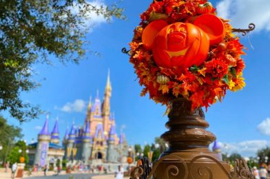 The Three BEST and WORST Things We Ate in Disney World in October 2020!