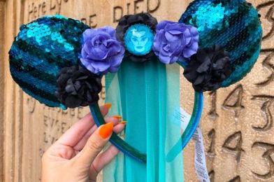 HURRY! The Haunted Mansion Main Attraction Collection Is BACK in Disney World!