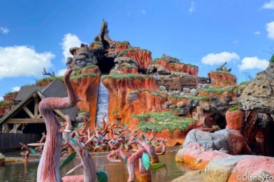 Disney World Sends a Push Notification About Splash Mountain Being Down…AGAIN