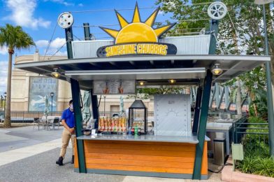 NEWS: A Special Seasonal CHURRO is Coming Back to Disney Springs Soon!