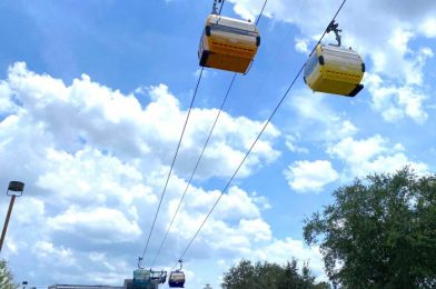 NEWS: Disney World’s Skyliner is Temporarily Down!