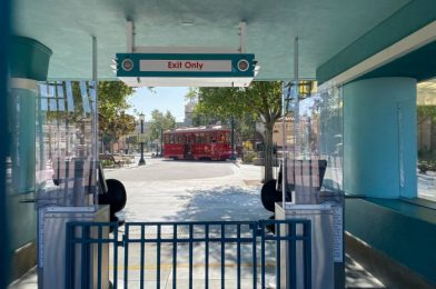 NEWS: Disneyland’s Reopening Delayed Further as Orange County Moves BACK to Purple Tier