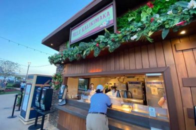 Review! The NEW Mele Kalikimaka Booth at EPCOT Gave Us a Tropical Holiday!