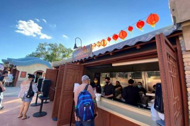 Review! We Love the Panda Bubble Tea and the Portion Sizes at the Shanghai Holiday Kitchen in EPCOT