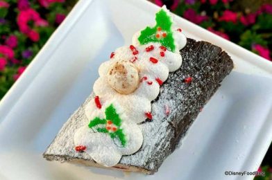 Review! We Tried Two Super FESTIVE Desserts at Disney’s Riviera Resort!