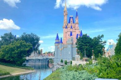 25 Photos and Videos From Three Parks in Disney World TODAY