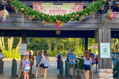 Pics! ALL of the Holiday Character Cruises in Disney’s Animal Kingdom!