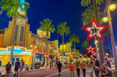 Review! Is This Returning Pine Cone Treat in Disney World as Good as We Remember?!