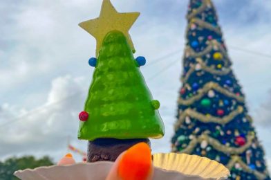 Review! Does the Festive Holiday Popcorn in Disney World Live Up To Its Name?