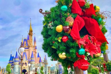 PHOTOS: This New Holiday Hat at Disney World Looks Sweet Enough to Eat!