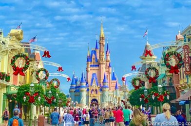 Don’t Wait! Disney World Has Made MORE Park Pass Reservations Available for Thanksgiving Week!