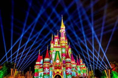 PHOTOS! There Were Fireworks in Magic Kingdom Tonight!