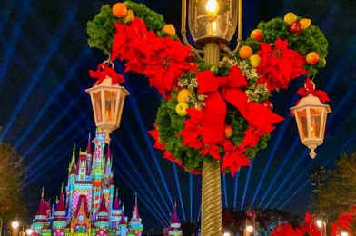 Photos and Video: Watch the Rainy Day Magic Kingdom Holiday Cavalcades With Us!