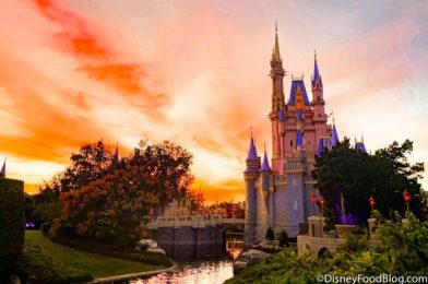 Why You Should Skip This Disney World Park Right Now