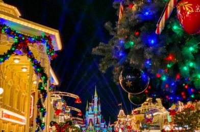 DFB Video: Latest Disney News — SO MANY Holiday Snacks, California Adventure Opens for Shopping Soon & MORE!