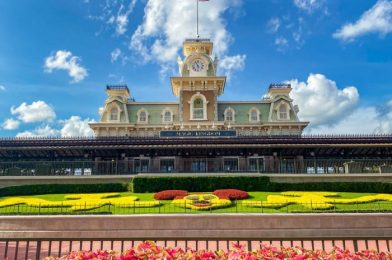 Get Your Snack On at This Newly Reopened Kiosk in Disney’s Animal Kingdom!