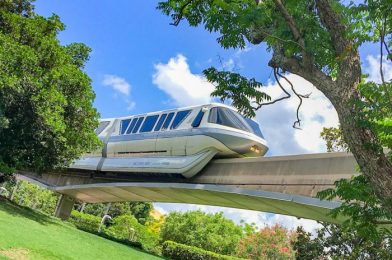 Will the Return of Park Hopping REALLY Change Your Disney World Trip?