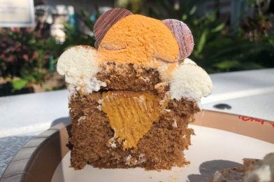 PHOTOS & REVIEW: Pumpkin Cream Cheese Mousse is BACK at Disney World for This Weekend ONLY!