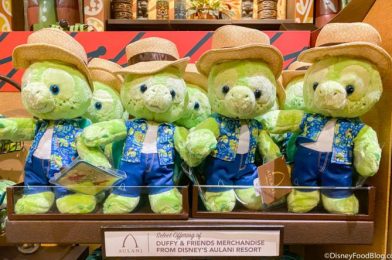 TONS of New Duffy and Friends Merch Has Landed at Disney World!