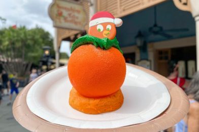 Review: This Orange Bird Holiday Treat in Disney World Is a TOTAL HIT…Again!