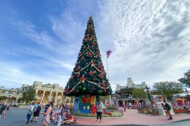 PHOTOS! The HUGE Christmas Tree is Up at Disney’s Contemporary Resort!