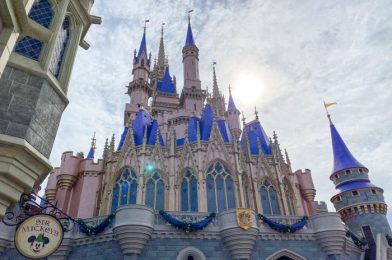 NEWS: Disney World Reports They Are 77% Booked Through the End of the Year