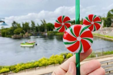 PHOTOS: NEW Light-Up Peppermint Mickey Bottle Topper Debuts at Walt Disney World