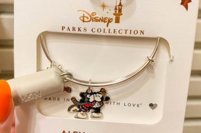 PHOTOS! New Christmas Alex and Ani Bracelets Are Now in Disney World!