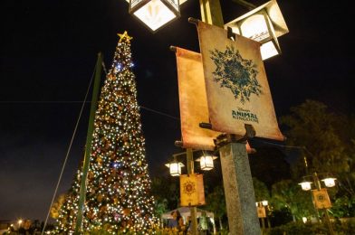 Projections Returning to Tower of Terror; New Holiday Details Revealed!