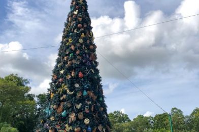 PHOTOS – Disney’s Animal Kingdom Has Holiday Decorations in Every Land