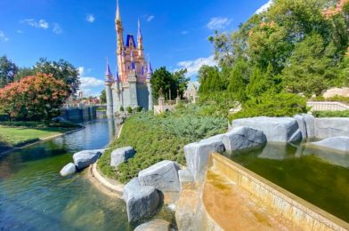 What’s New at Magic Kingdom: Christmas Decorations, A Mysterious Stage, and Private Photo Sessions