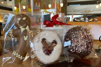 REVIEW – Holiday Exclusive Cookies and a Gingerbread Kit You Have GOT to see at Disney’s Contemporary