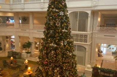 PHOTOS – Disney’s Grand Floridian Holiday Decorations Arrive